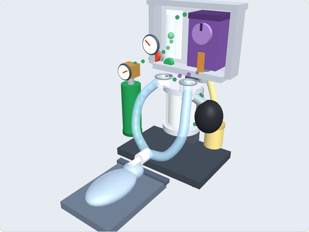 A veterinary anesthesia machine in 3D with the breathing circuit traced