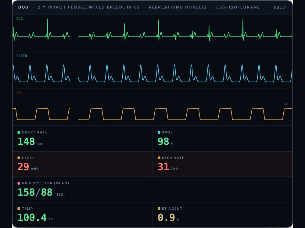 A veterinary anesthesia monitor showing ECG, plethysmograph and capnogram with abnormal values